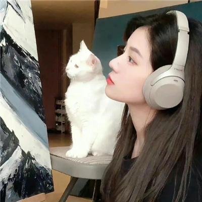 经典专题